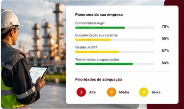 Exemplo ilustrativo de panorama da empresa e prioridades de adequação